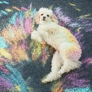 Meet your Posher, Brianna